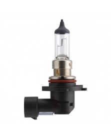 Ampoule H10, avant voiture sans boite - Philips | Mongrossisteauto.com