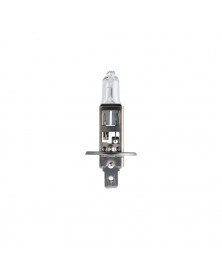 Ampoule H1, 12v 55W, longlife Ecovision - Philips | Mongrossisteauto.com
