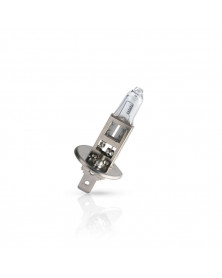 Ampoule pour éclairage avant H1 24V Master Duty - Philips | Mongrossisteauto.com