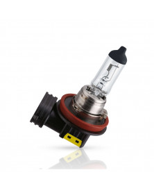 Ampoule H11 24V MasterDuty sans emballage 2 - Philips | Mongrossisteauto.com