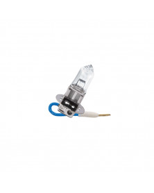 Ampoule pour éclairage avant, H3 24V Master Duty - Philips | Mongrossisteauto.com