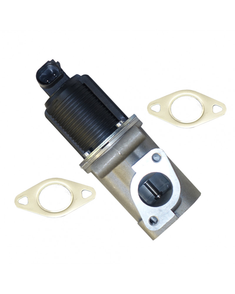 Vanne EGR VR31117 DÜRER adaptable OPEL FIAT SAAB SUZUKI VAUXHALL | Mongrossisteauto.com