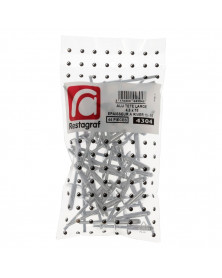 Rivet, tête large, aluminium 4,8 x 18 mm, 44 pcs - Restagraf | Mongrossisteauto.com