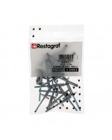 Rivet tete large, ø4.8x16 mm, 20pcs - Restagraf | Mongrossisteauto.com