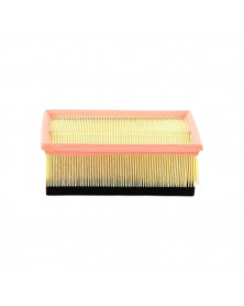 Filtre à air MECAFILTER ELP3893 adaptable PSA | Mongrossisteauto.com
