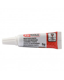 Graisse speciale, pour filetage, en tube, 5g - KS TOOLS | Mongrossisteauto.com