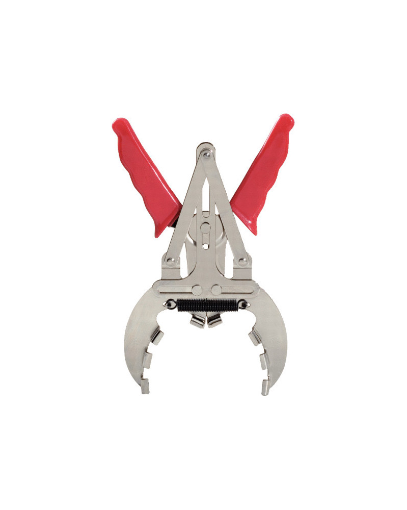 Graisse Grizzli Boîte de 700gr - Graisse Belleville | Mongrossisteauto.com Graisse Grizzli Boîte de 700gr - Graisse Belleville | Mongrossisteauto.com