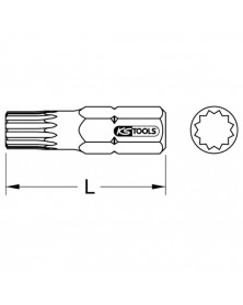 Embout de vissage XZN®, L.30 mm, M10 (930.3010) - KS TOOLS | Mongrossisteauto.com