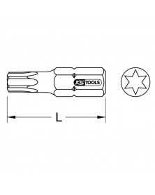 Boîte de 5 embouts de vissage TORX®, L.25 mm, 1/4'', T30 - KS TOOLS | Mongrossisteauto.com