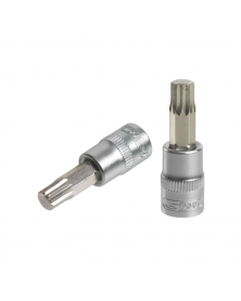 Douille tournevis, ULTIMATE® XZN®, 1/4'', L.37 mm, M5 (922.1442)  - KS TOOLS | Mongrossisteauto.com