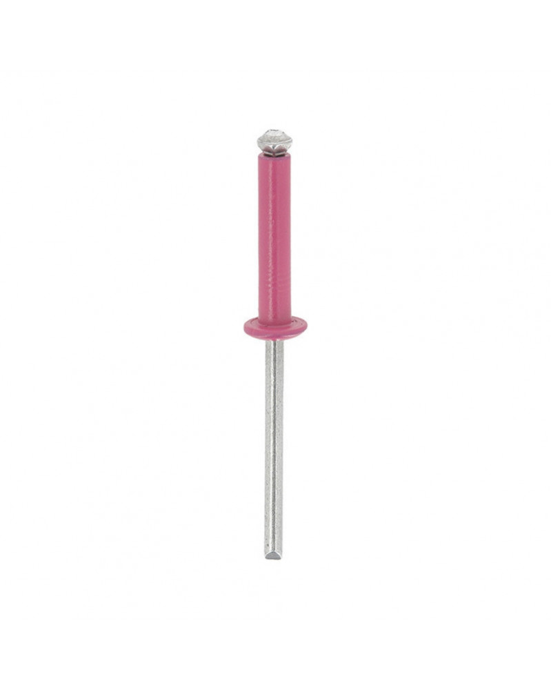 Rivet épanoui, rose, ø4x20mm, x20 - Restagraf | Mongrossisteauto.com