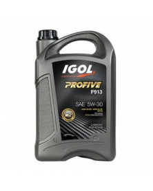 Huile moteur 5W30, profive F 913, 5L - IGOL | Mongrossisteauto.com