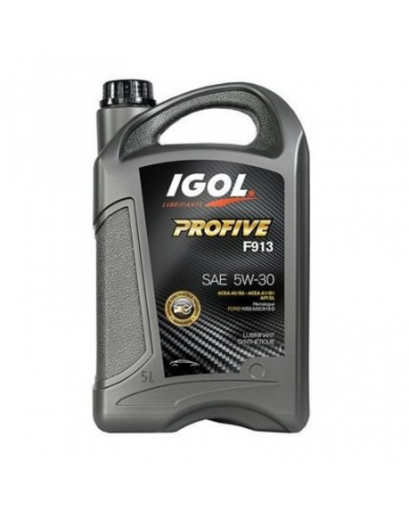 Huile moteur 5W30, profive F 913, 5L - IGOL | Mongrossisteauto.com