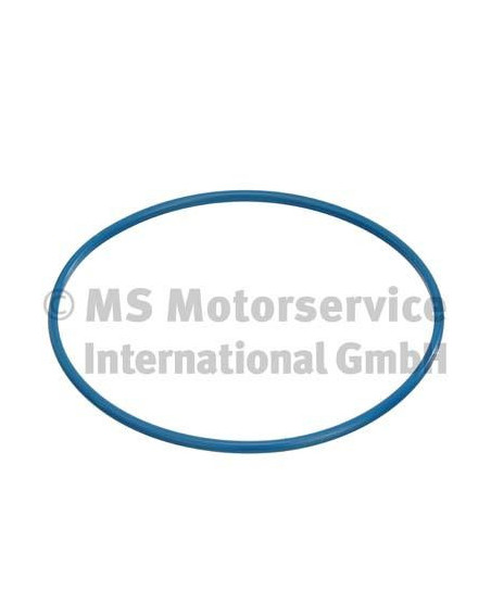 Joint D’Étanchéité Palpeur De Réservoir PIERBURG 3.32038.02.0 – Compatible Renault Clio, Kangoo & Plus