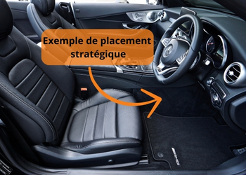 Coupe ceinture, Brise Vitre - 3RG position stratégique | Mongrossisteauto.com