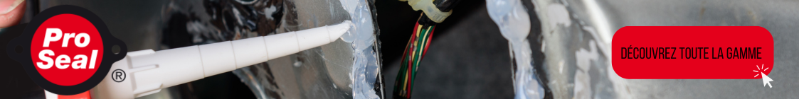 Bannière Pro Seal | Mongrossisteauto.com